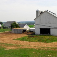 Daily farm, Landcaster, PA