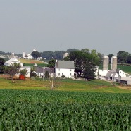 Corn farm in Landcaster, PA