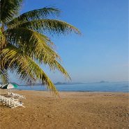 Dolphin Bay beach in Thailand