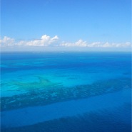 Sea off Key West-FL