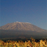 Kilimanjaro, Kenya