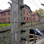 Auschwitz camps